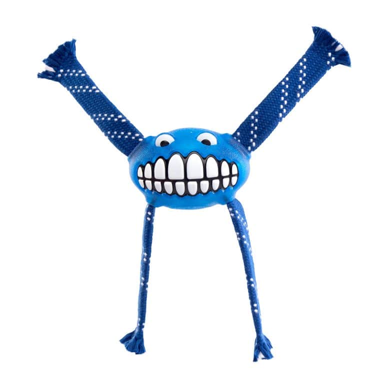 Rogz Flossy Grinz Dog Toy - Blue