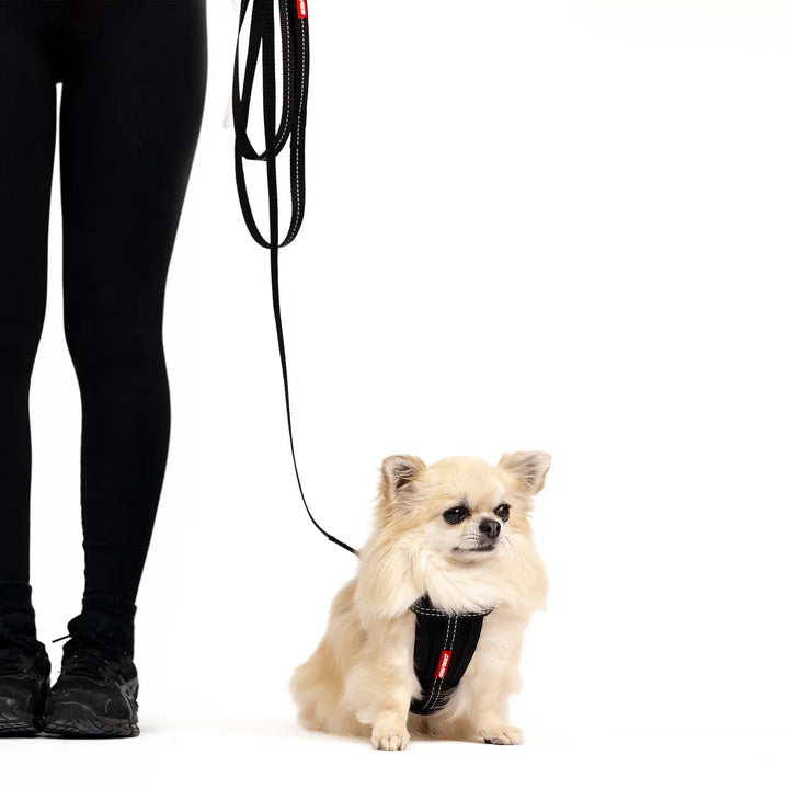 EzyDog Essential Lite Leash - Red