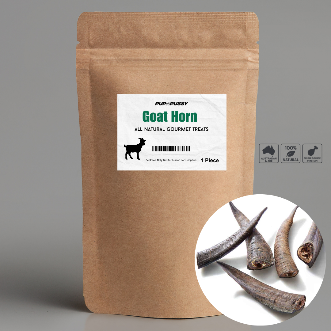 All Natural Gourmet Treats - Goat Horn (1 Piece)