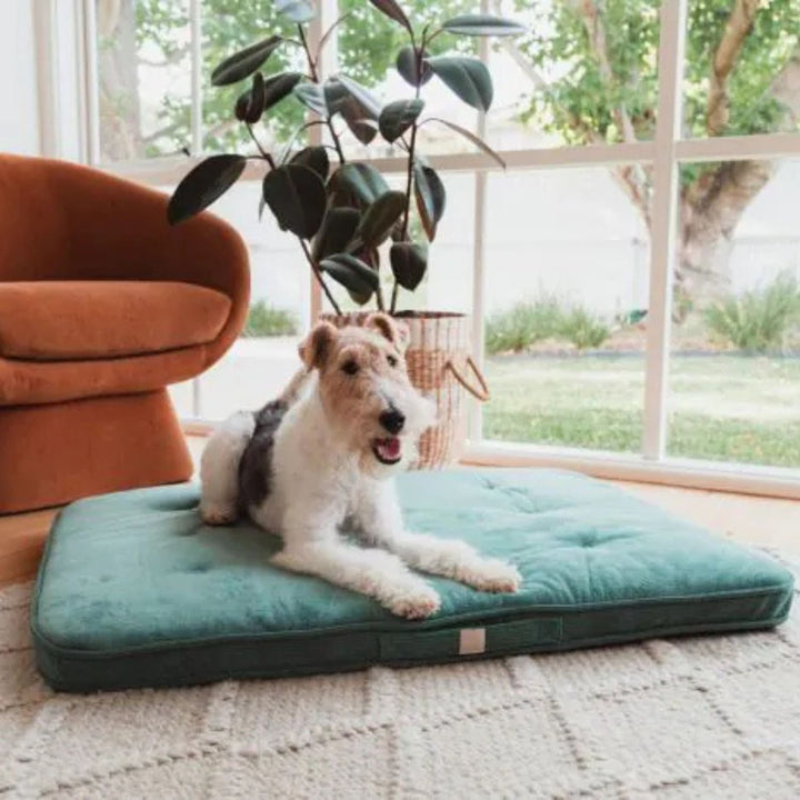 Fuzzyard Life Lounge Mat - Myrtle Green