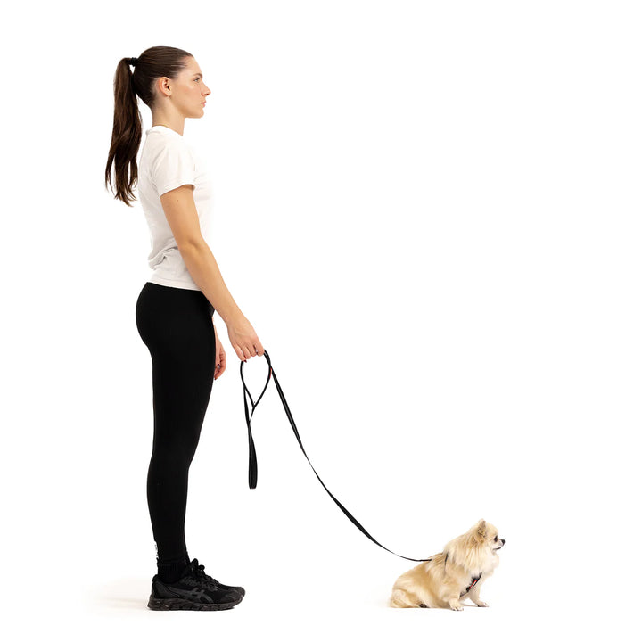 EzyDog Essential Lite Leash - Red