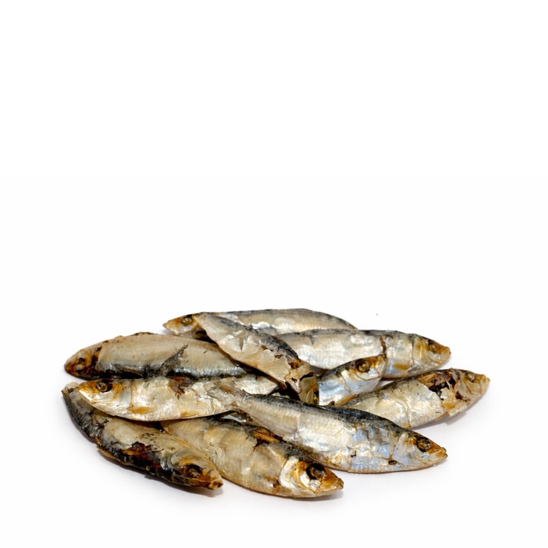 Sardines