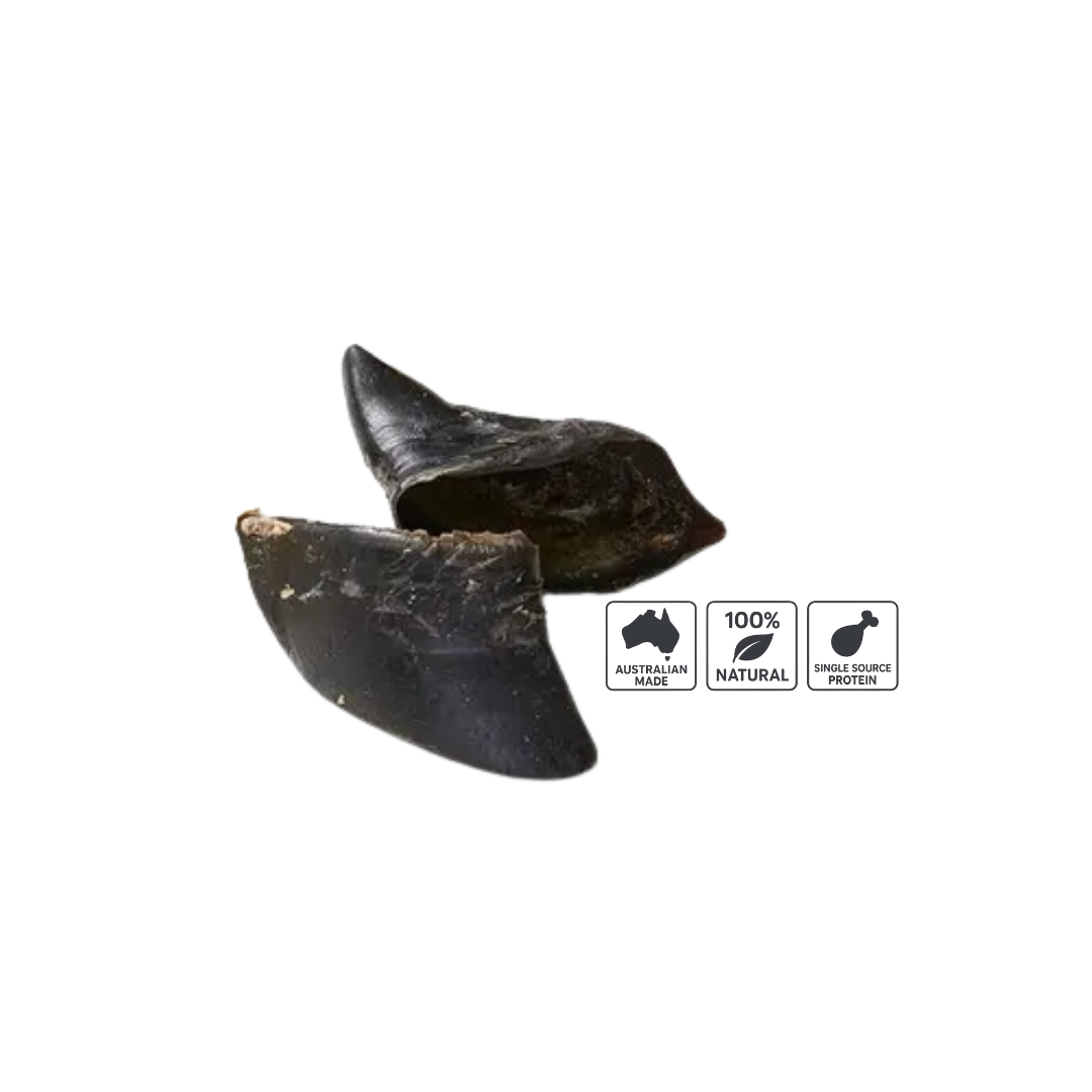 All Natural Gourmet Treats - Australian Beef Hoof (1 Piece)