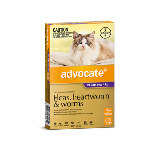 Advocate Heartworm, Fleas and Worms  -  Cats over 4kg  -  3 pack