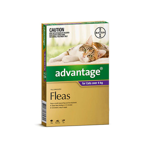 Advantage Flea  -  Cats over 4kg  -  4 pack