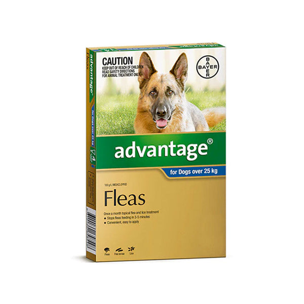 Advantage Flea  -  Dogs over 25kg  -  4 pack