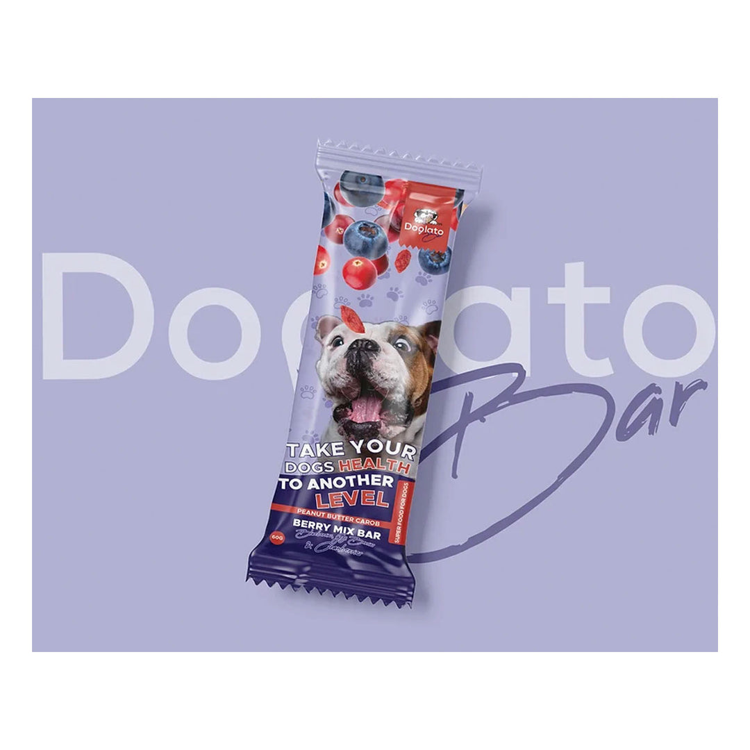 Doglato Mix Bars - Berry Mix Bar