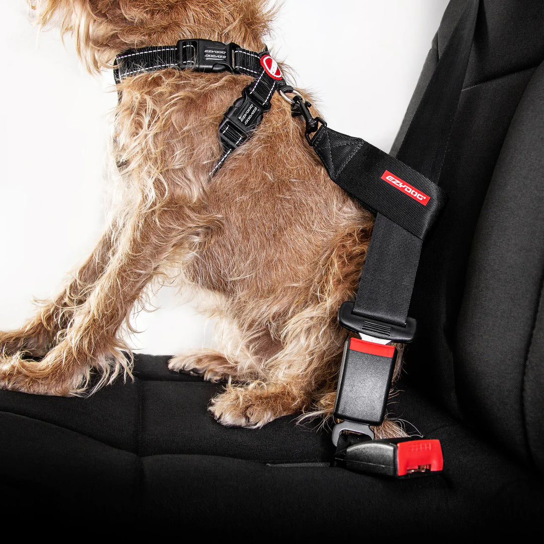 EzyDog Chest Plate Harness - Black