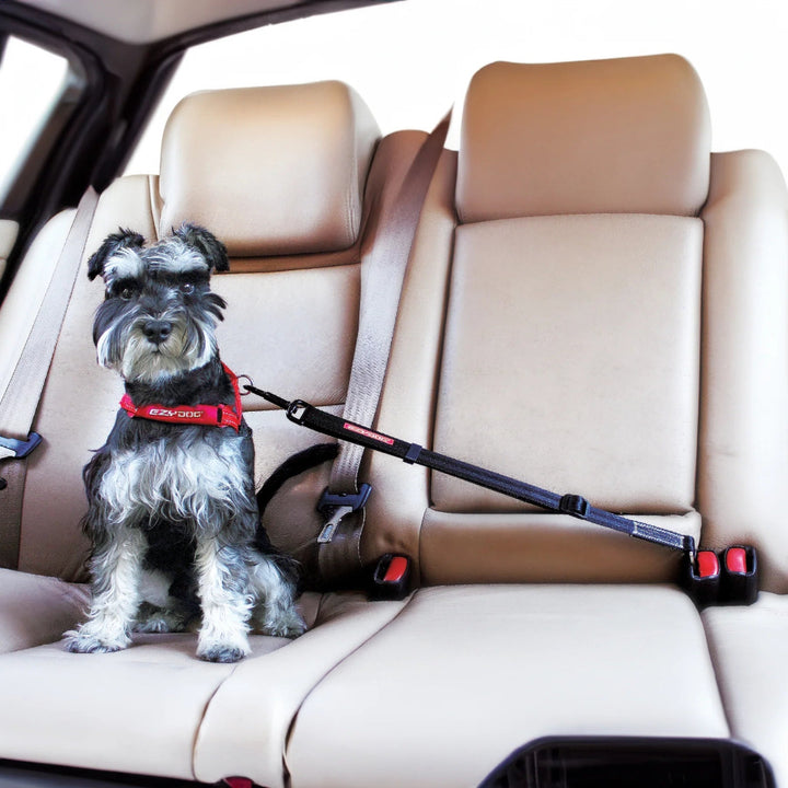 Ezydog Click Adjustable Car Restraint