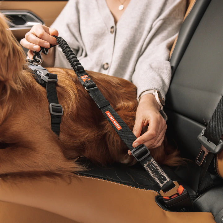Ezydog Click Zero Shock Car Restraint