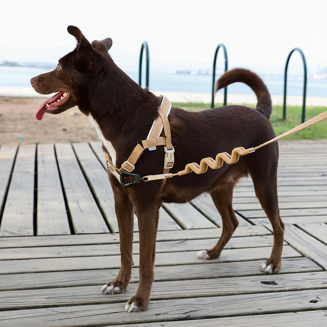 Zee.dog Softer Walk Harness - Dune