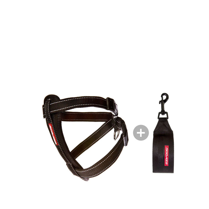 Ezydog Car Restraint