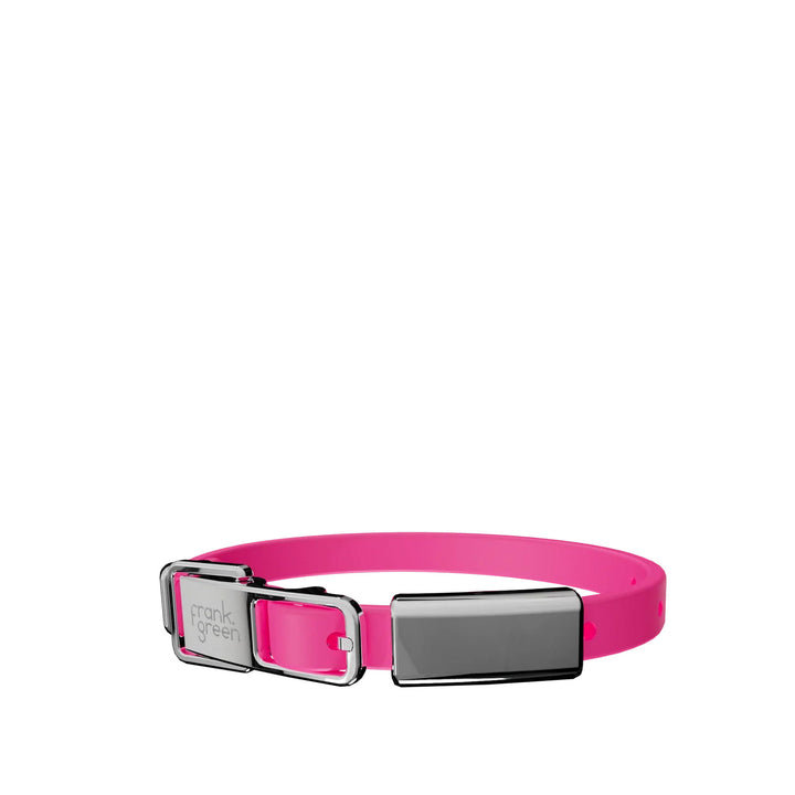 Frank Green Pet Collar With Name Tag - Neon Pink