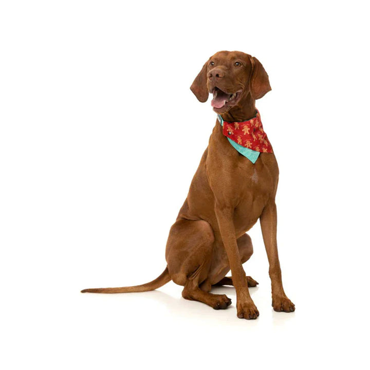 Fuzzyard Naughty Ginger Bandana - Christmas