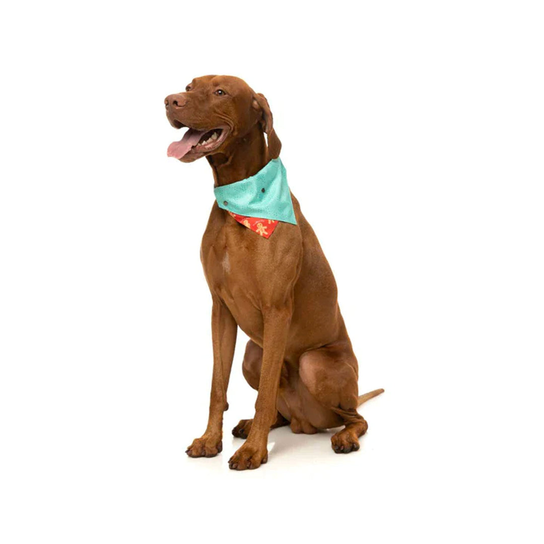 Fuzzyard Naughty Ginger Bandana - Christmas