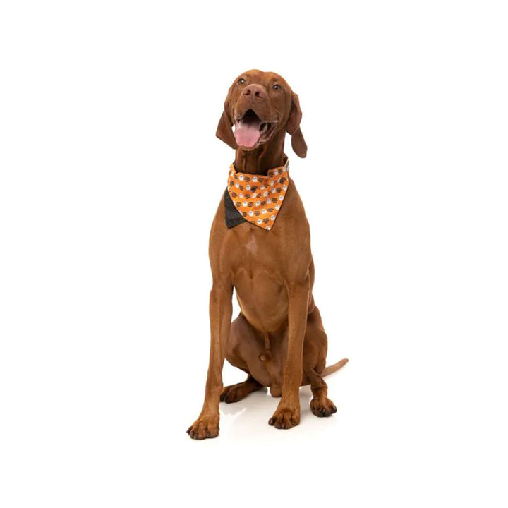 Oogey Boogey Boo Bandana - Orange