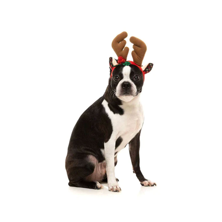 Fuzzyard Howlidays Reindeer Antlers - Christmas