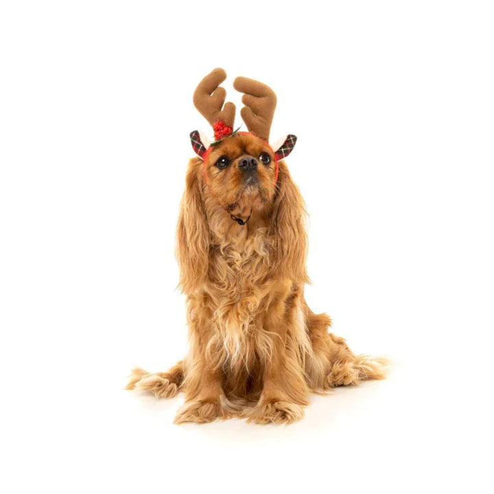 Fuzzyard Howlidays Reindeer Antlers - Christmas