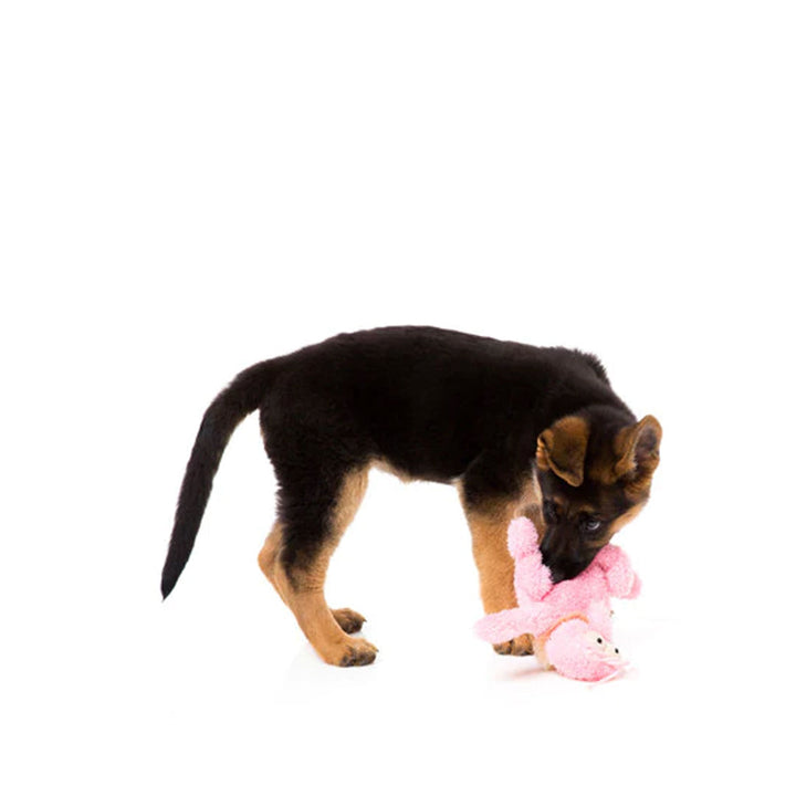 Scratchette The Flea Plush Dog Toy - Pink