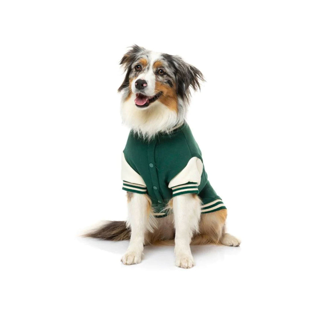 The Letterman Jacket - Green