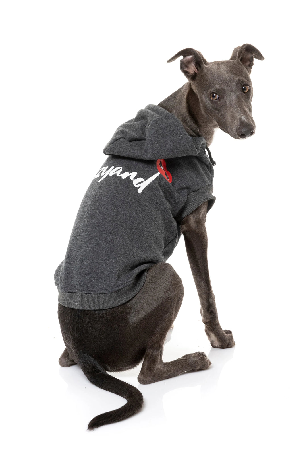 Fuzzyard Heartbreaker Hoodie - Grey