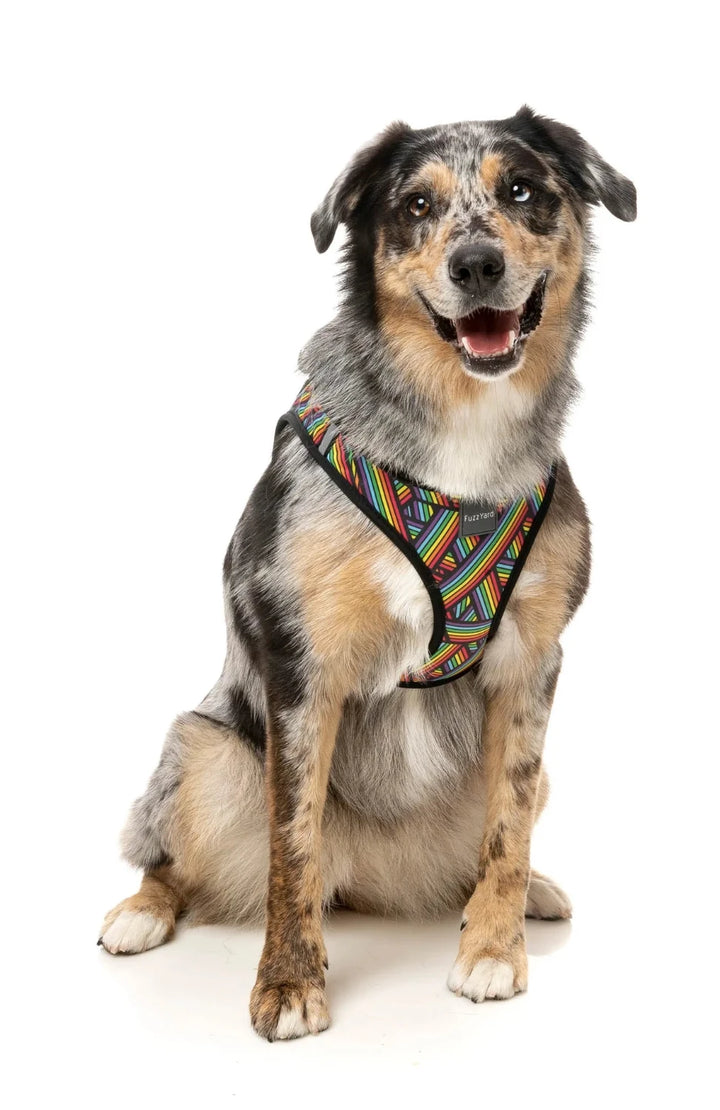 Dog Harness - Rainbow Northcote