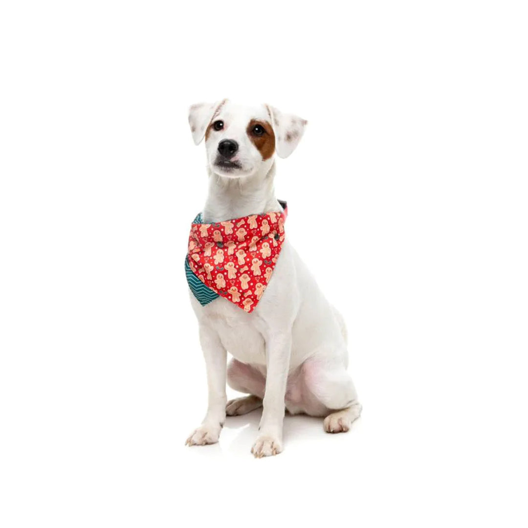 Fuzzyard Christmas Dog Fashion 2 Pack - Holly Jolly Cookies