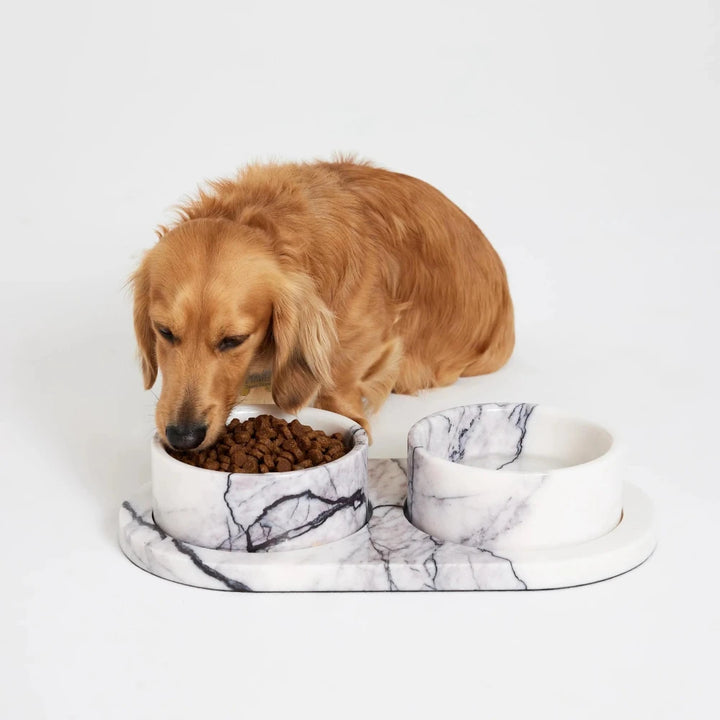 Koozi - New York Marble Dog Bowl