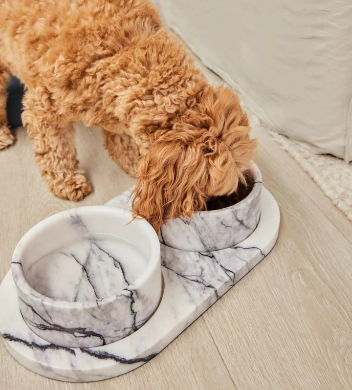 Koozi - New York Marble Dog Bowl