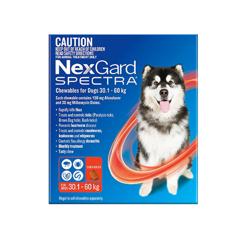 NexGard Spectra - Dogs 30.1-60kg - Tick, Flea, Heartworm, Gut Worms - 3 pack