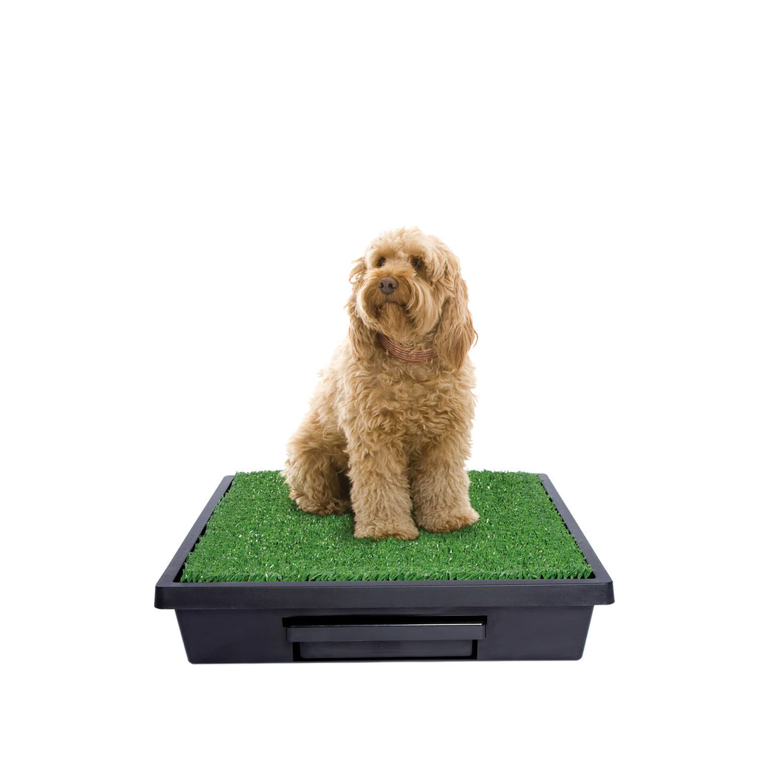 Pet Safe Pet Loo Dog Toilet - Various Sizes