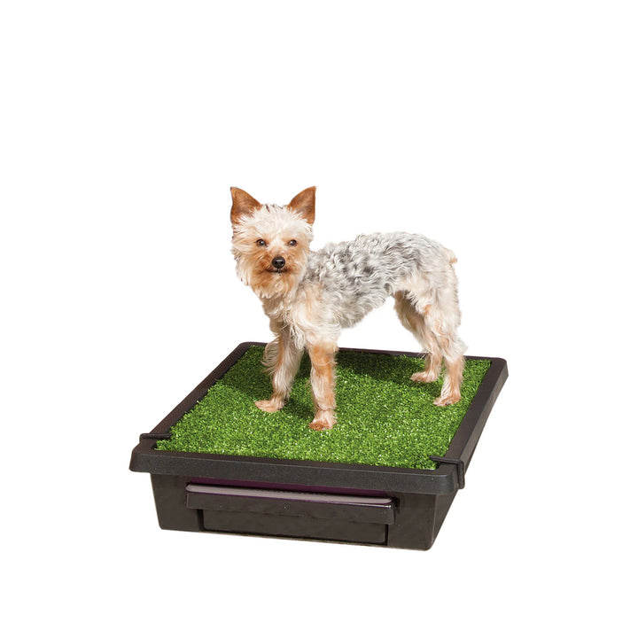 Pet Safe Pet Loo Dog Toilet - Various Sizes