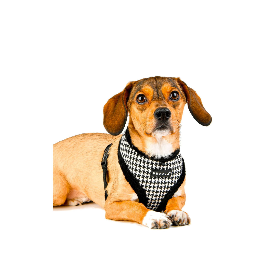 Puppia Sherpherd Dog Harness - Black