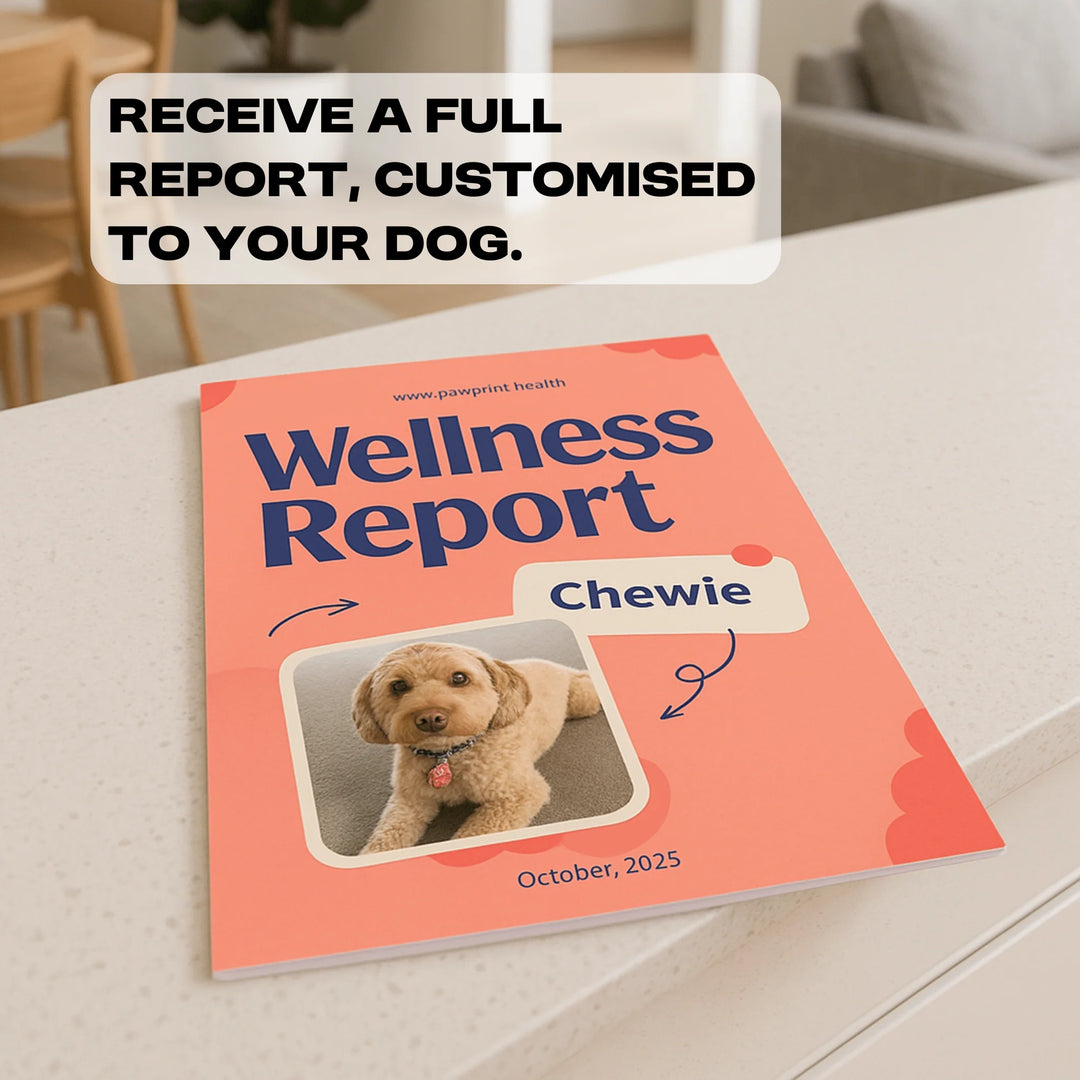 Complete Dog Intolerance Screening Test