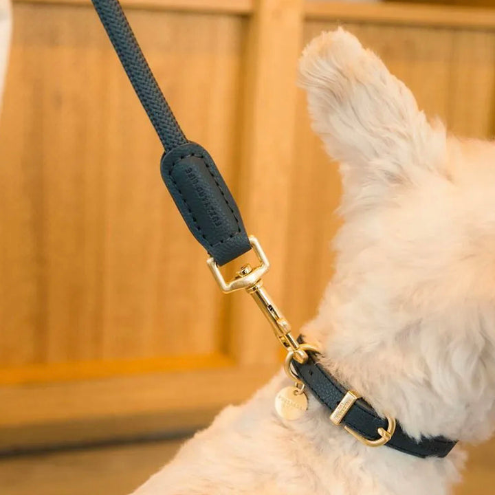 Fuzzyard Life Atelier Dog Collar - Slate Grey