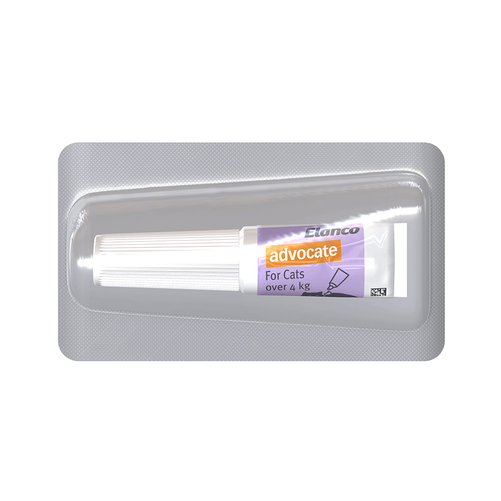 Advocate Heartworm, Fleas and Worms  -  Cats over 4kg  -  3 pack