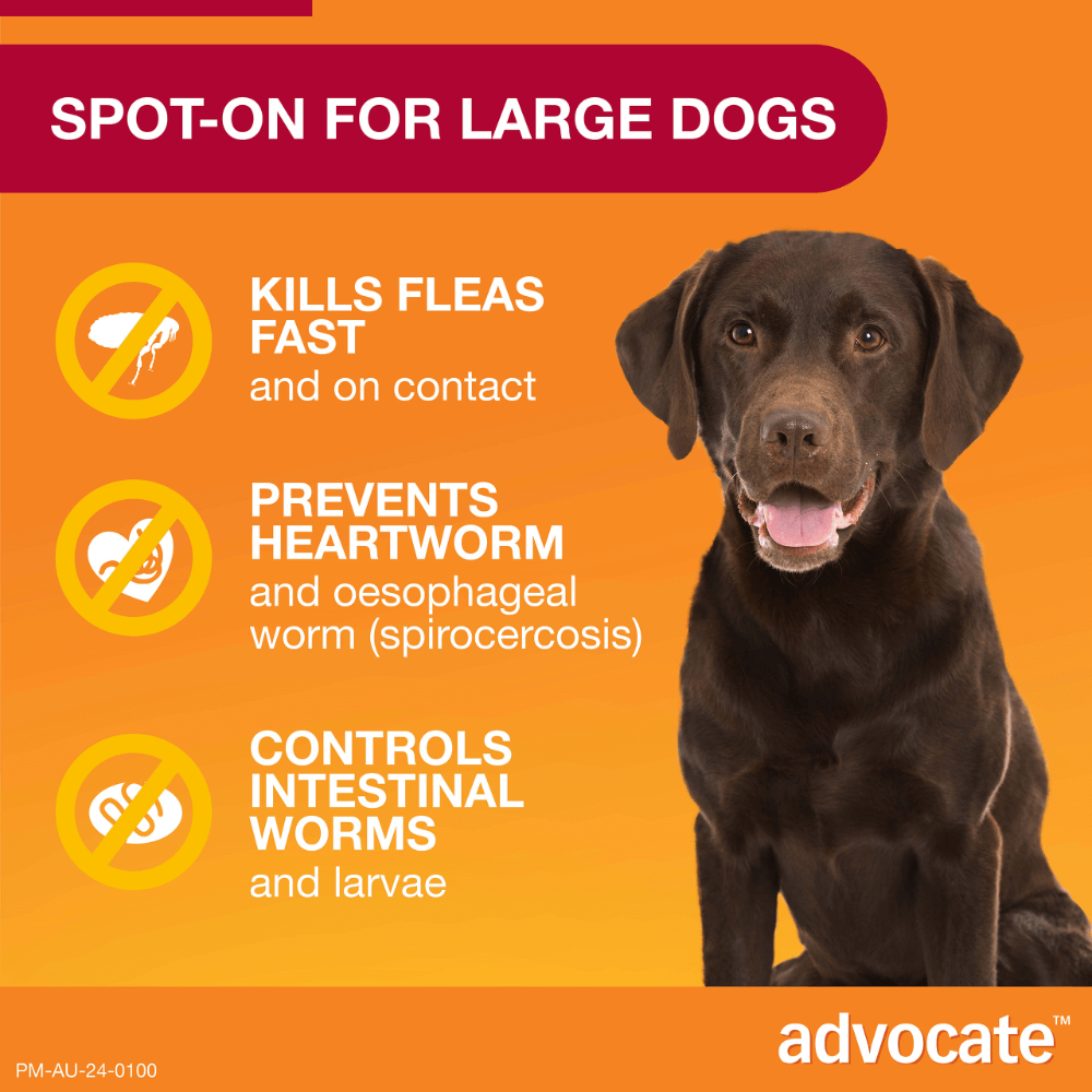Advocate Fleas, Heartworm & Worms  -  Dogs 10-25kg  -  3 pack