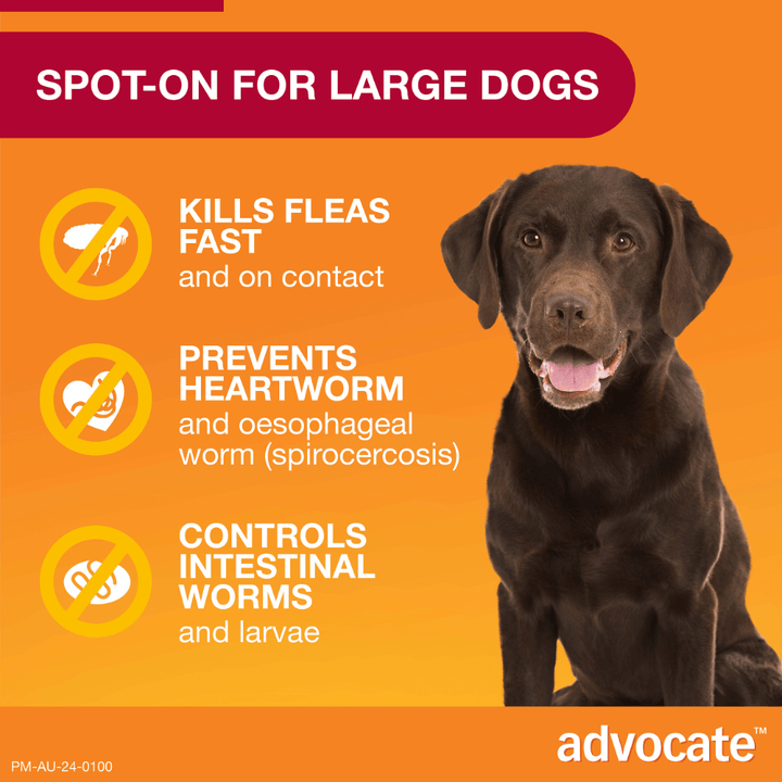 Advocate Fleas, Heartworm & Worms  -  Dogs 10-25kg  -  3 pack
