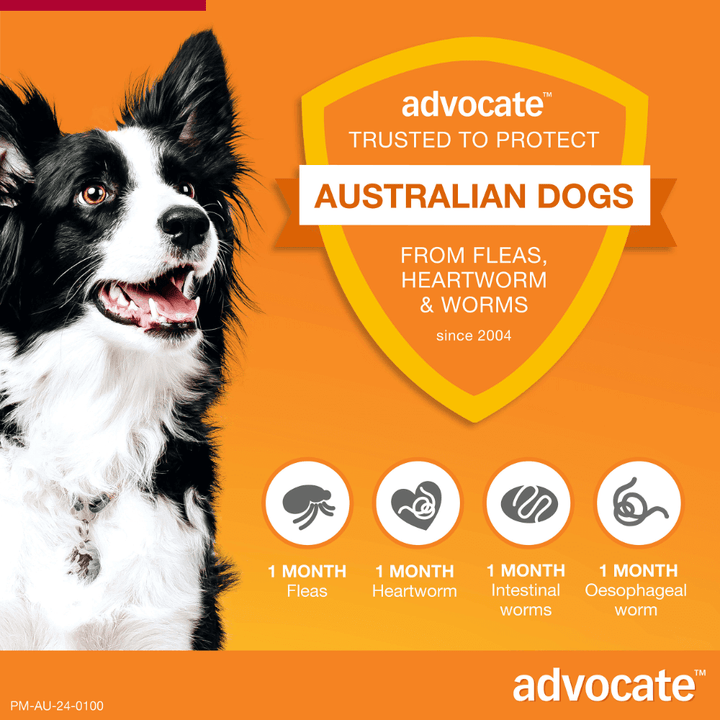 Advocate Fleas, Heartworm & Worms  -  Dogs 10-25kg  -  3 pack