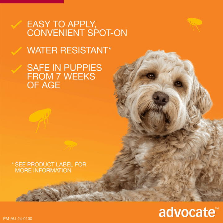 Advocate Fleas, Heartworm & Worms  -  Dogs 10-25kg  -  3 pack