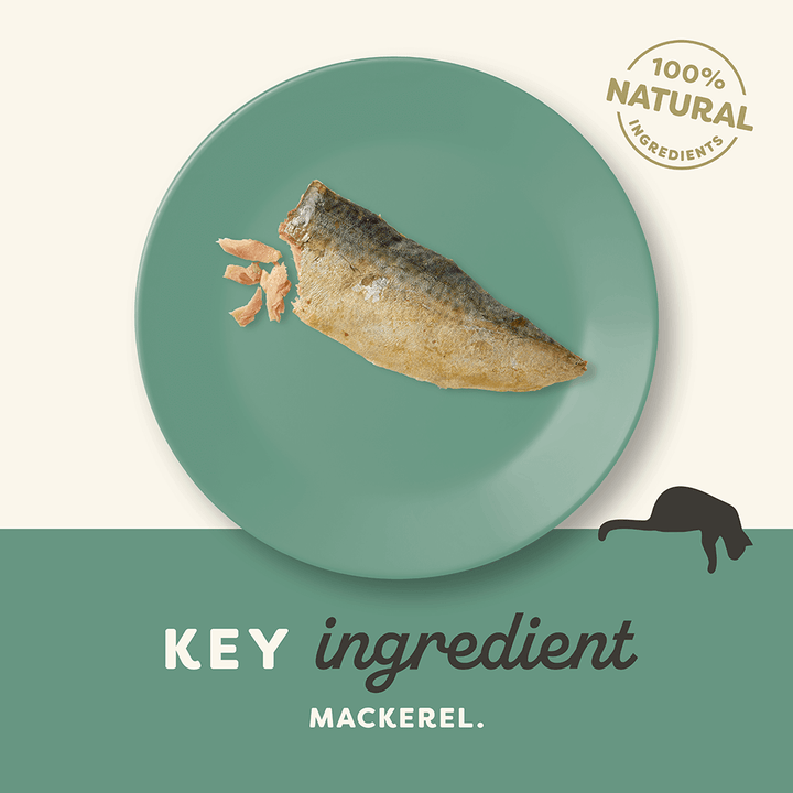 Applaws Whole Mackerel Loin