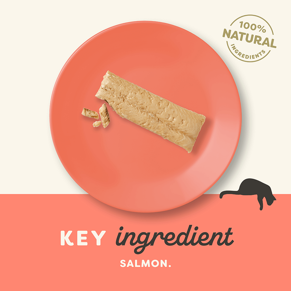 Applaws Whole Salmon Fillet