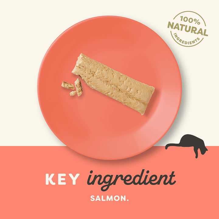 Applaws Whole Salmon Fillet