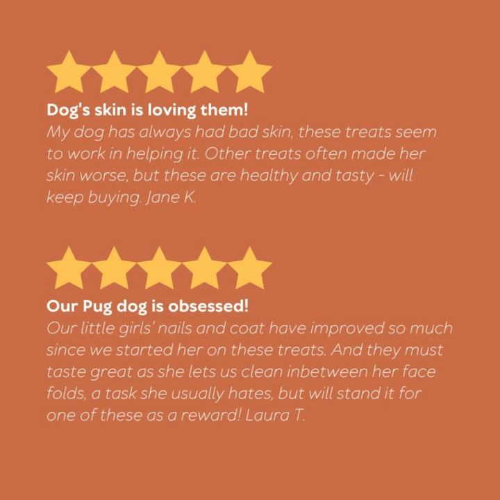 APOrganics Skin Coat And Nail Dog Treats - 150g