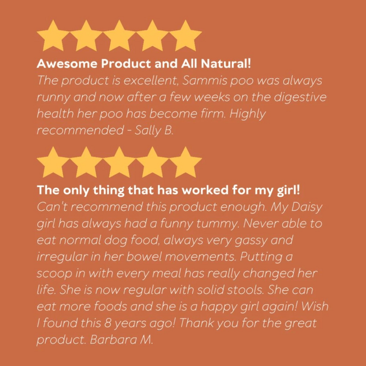 APOrganics Digestive Health Dog Supplement - 240g