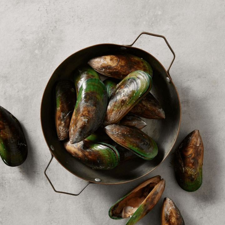 APOrganics Green Lipped Mussel Dog Supplement - 280g