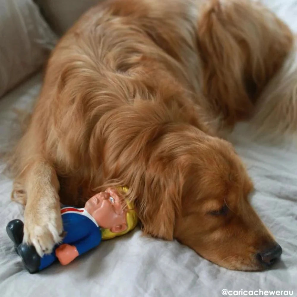 Donald Trump Dog Toy