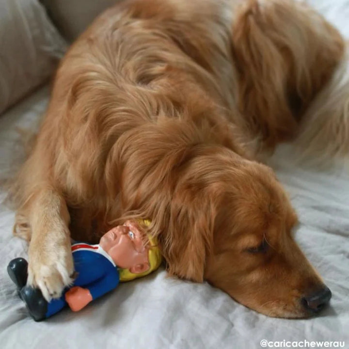 Donald Trump Dog Toy