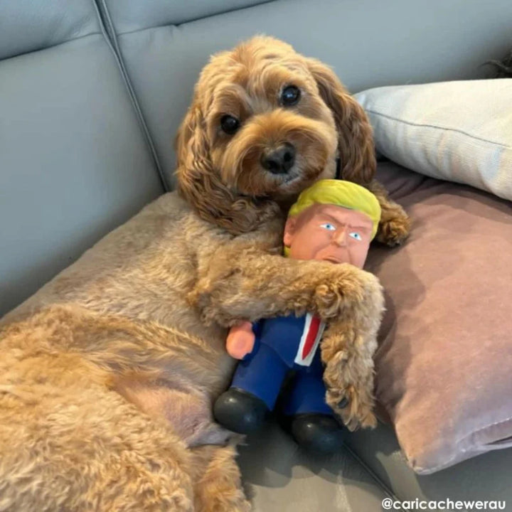 Donald Trump Dog Toy