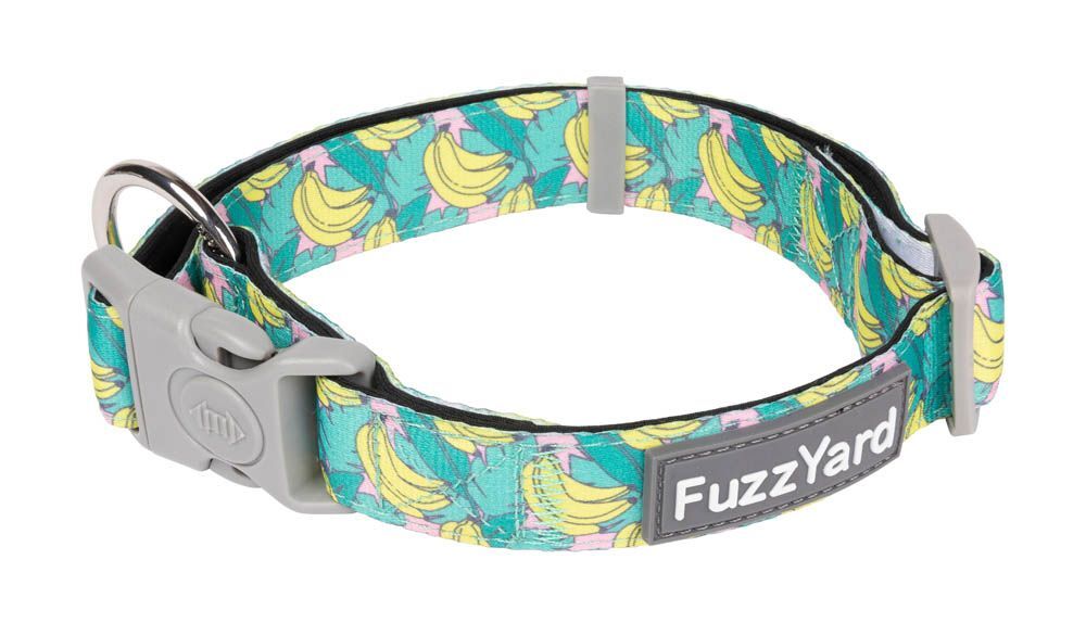 Fuzzyard Dog Collar - Bananarama
